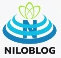 مدیریت فناوری اطلاعات ( IT )